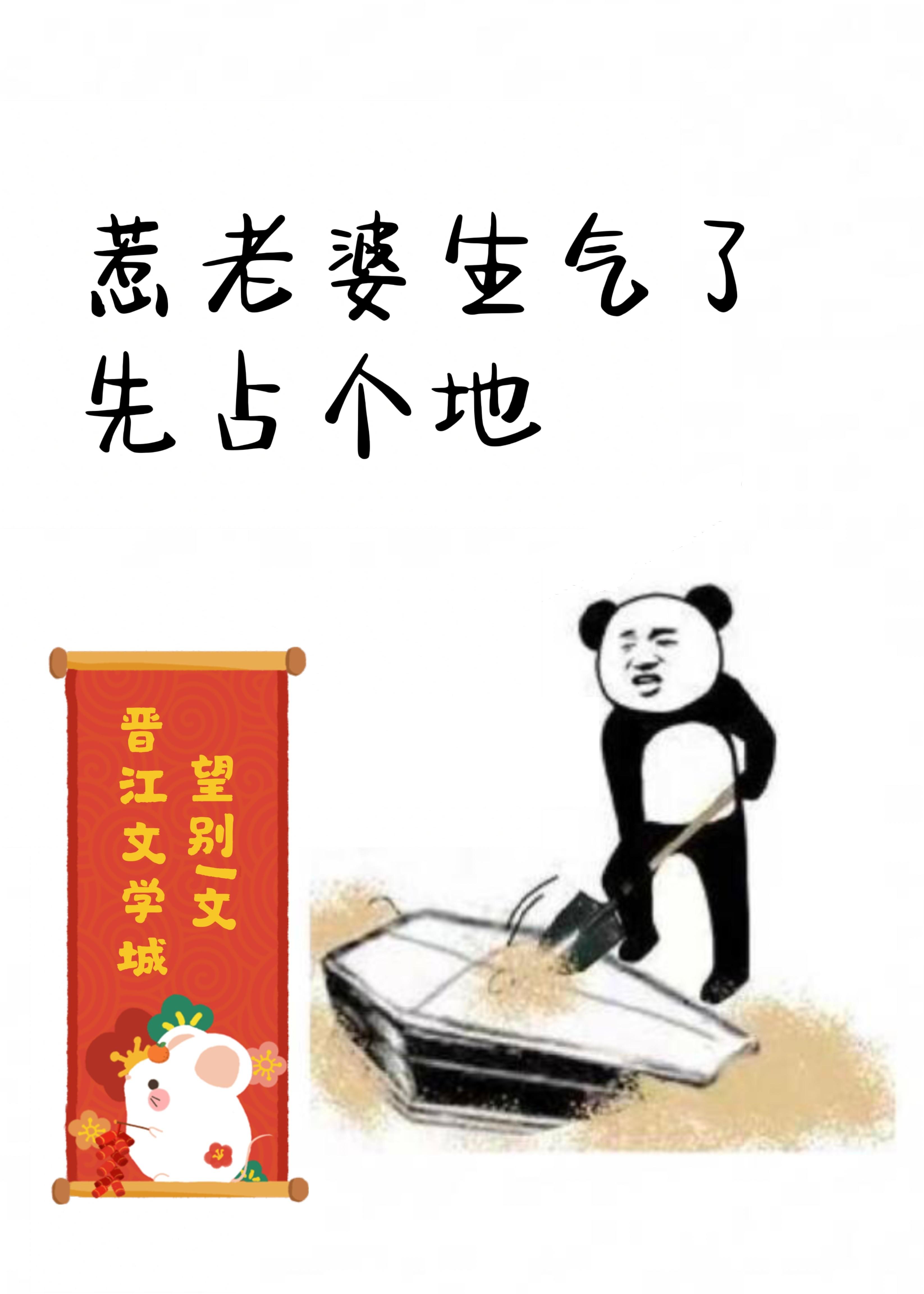 老婆重生之后封面