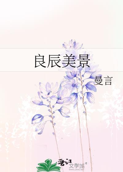 良辰美景封面