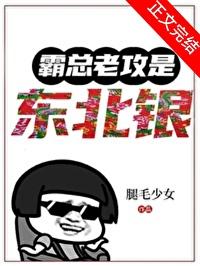 霸总老攻是东北银封面