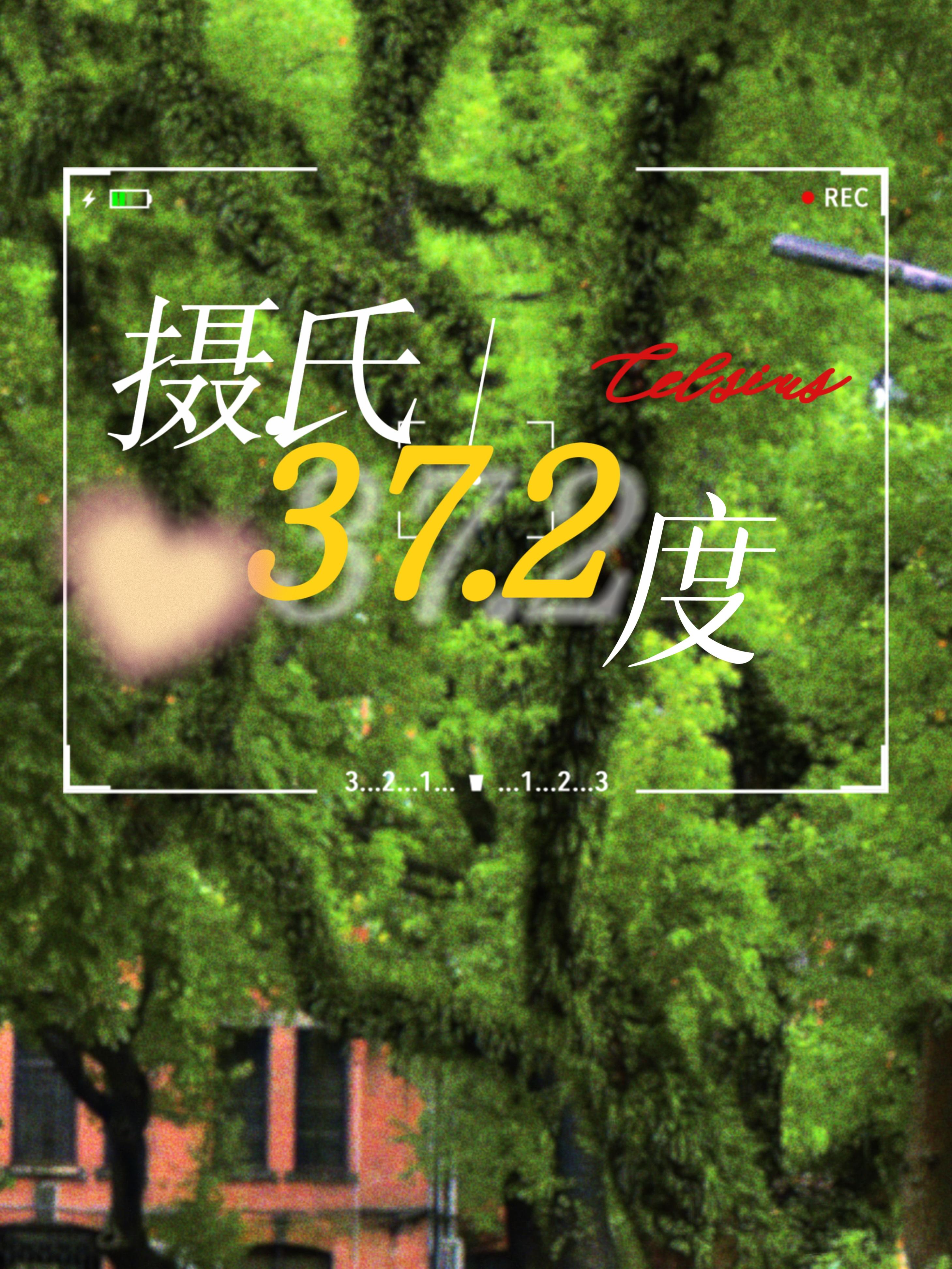 [排球少年]摄氏37.2度（黑尾相关）封面