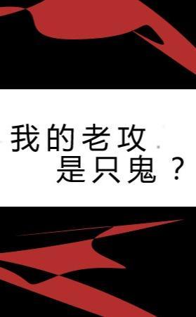 我的老攻是只鬼？封面