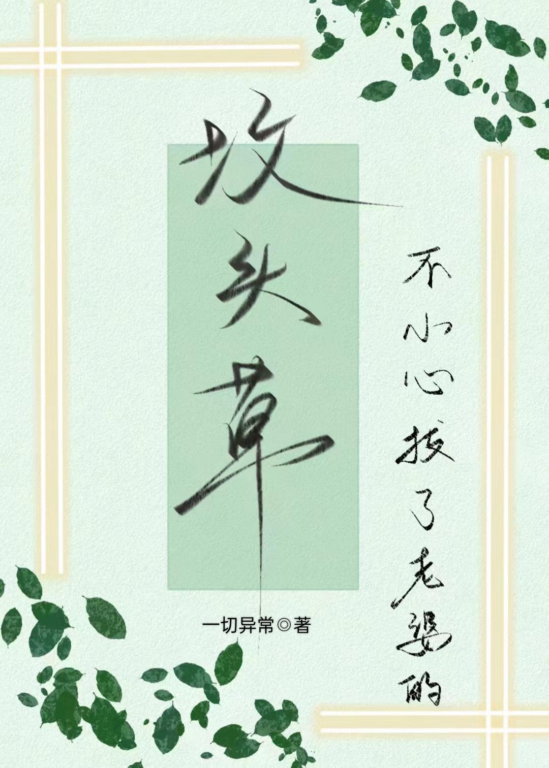 不小心拔了老婆的坟头草封面