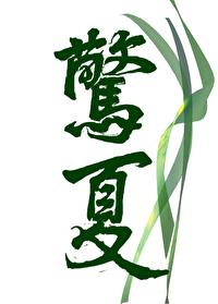 惊夏：我埋了……封面