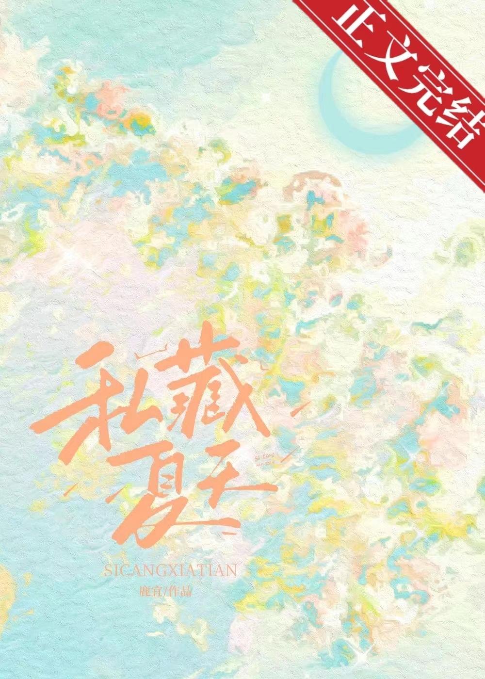 私藏夏天封面