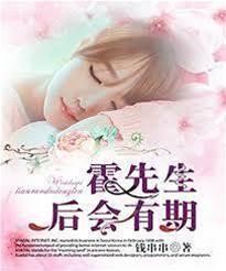 霍先生，后会有期封面