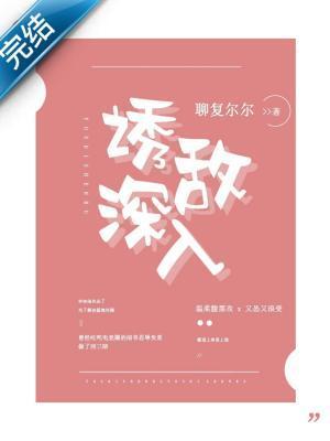 诱敌深入封面