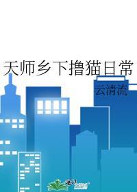 天师乡下撸猫日常封面