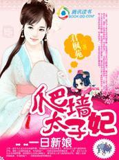 女人勇闯海盗窝：逃婚太子妃封面