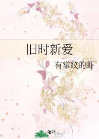 旧时新爱封面