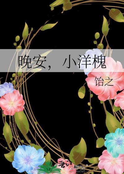 晚安，小洋槐封面