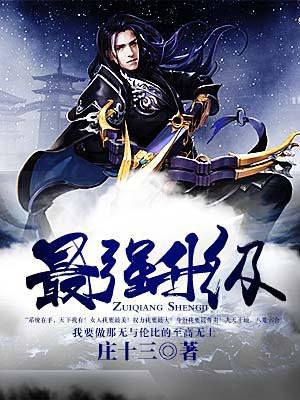 最强升级封面