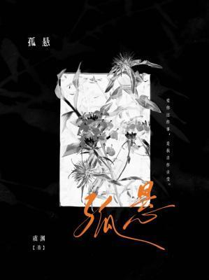 孤悬封面