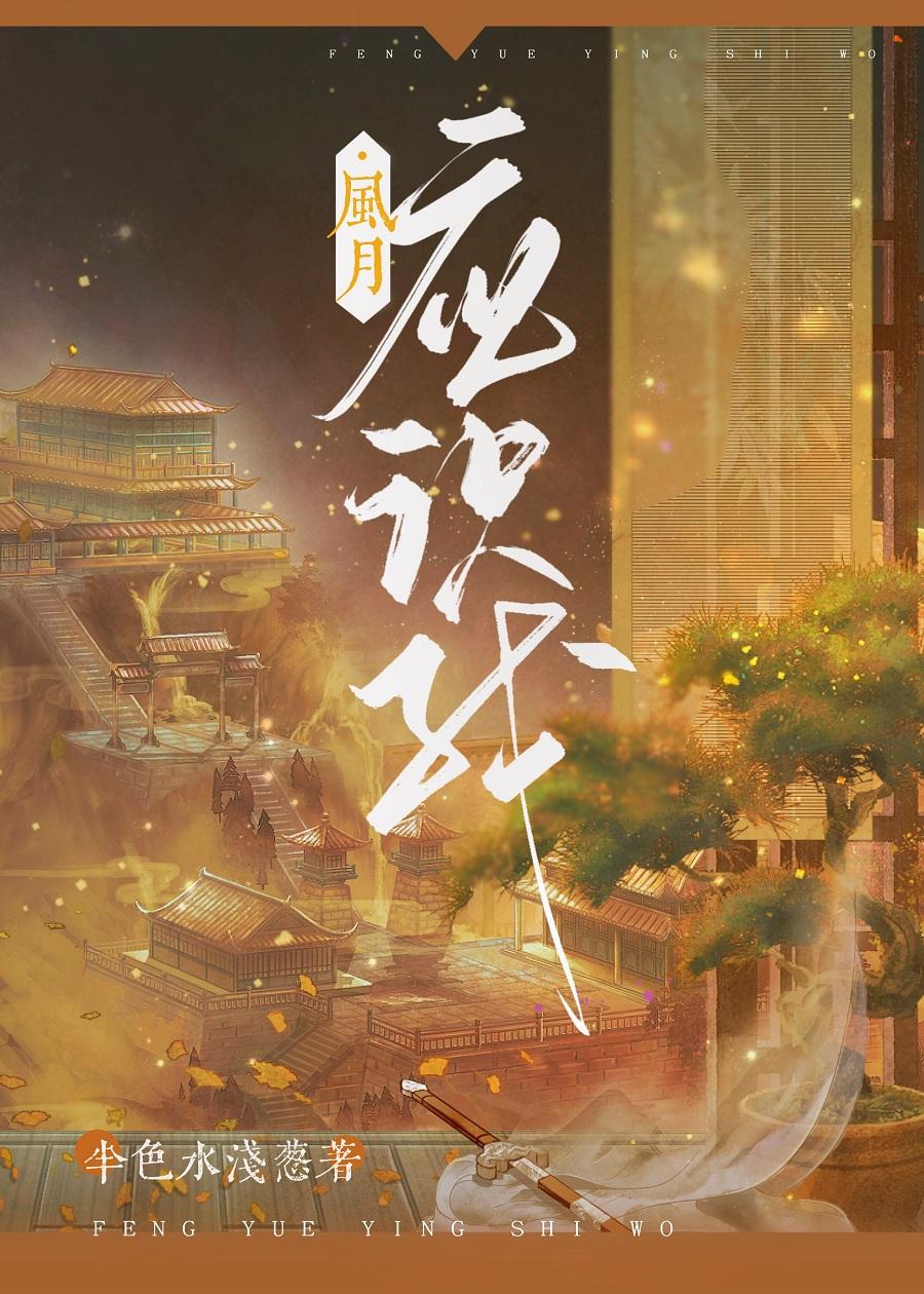 风月应识我封面