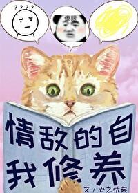 情敌的自我修养封面