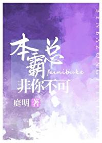 本霸总非你不可封面