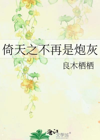 倚天之不再是炮灰封面