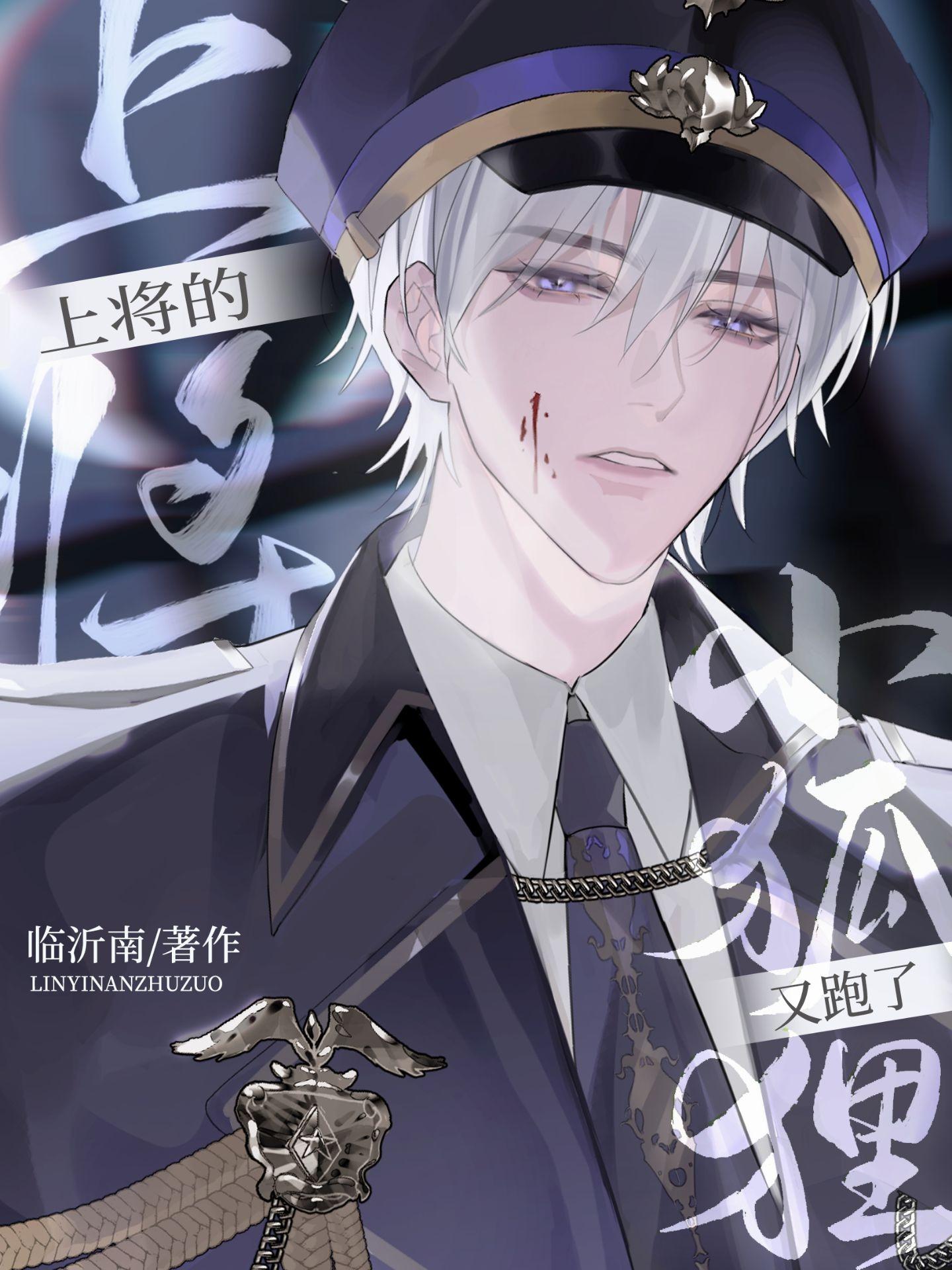陆上将的小狐貍又跑了封面