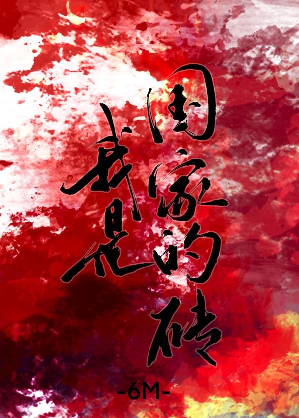 我是国家的砖封面