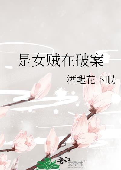 是女贼在破案封面