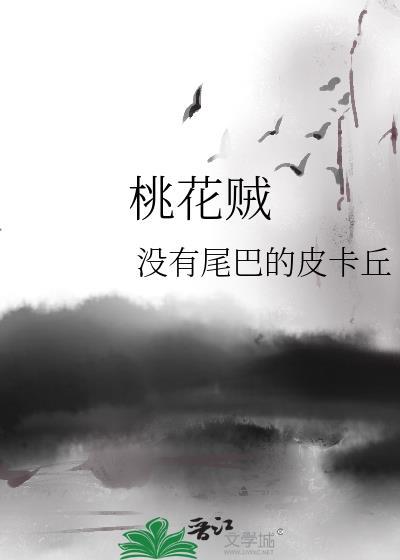 桃花贼封面