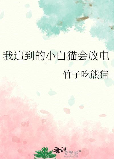 我追到的小白猫会放电封面
