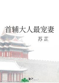 首辅大人最宠妻封面