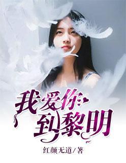 我爱你，到黎明封面