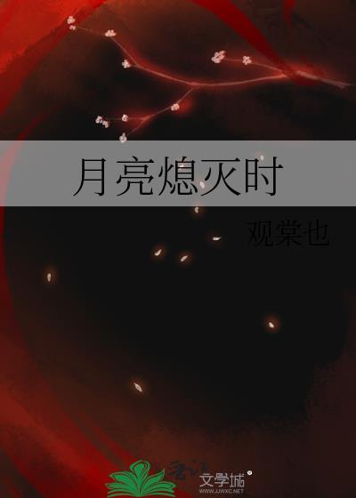 月亮熄灭时封面