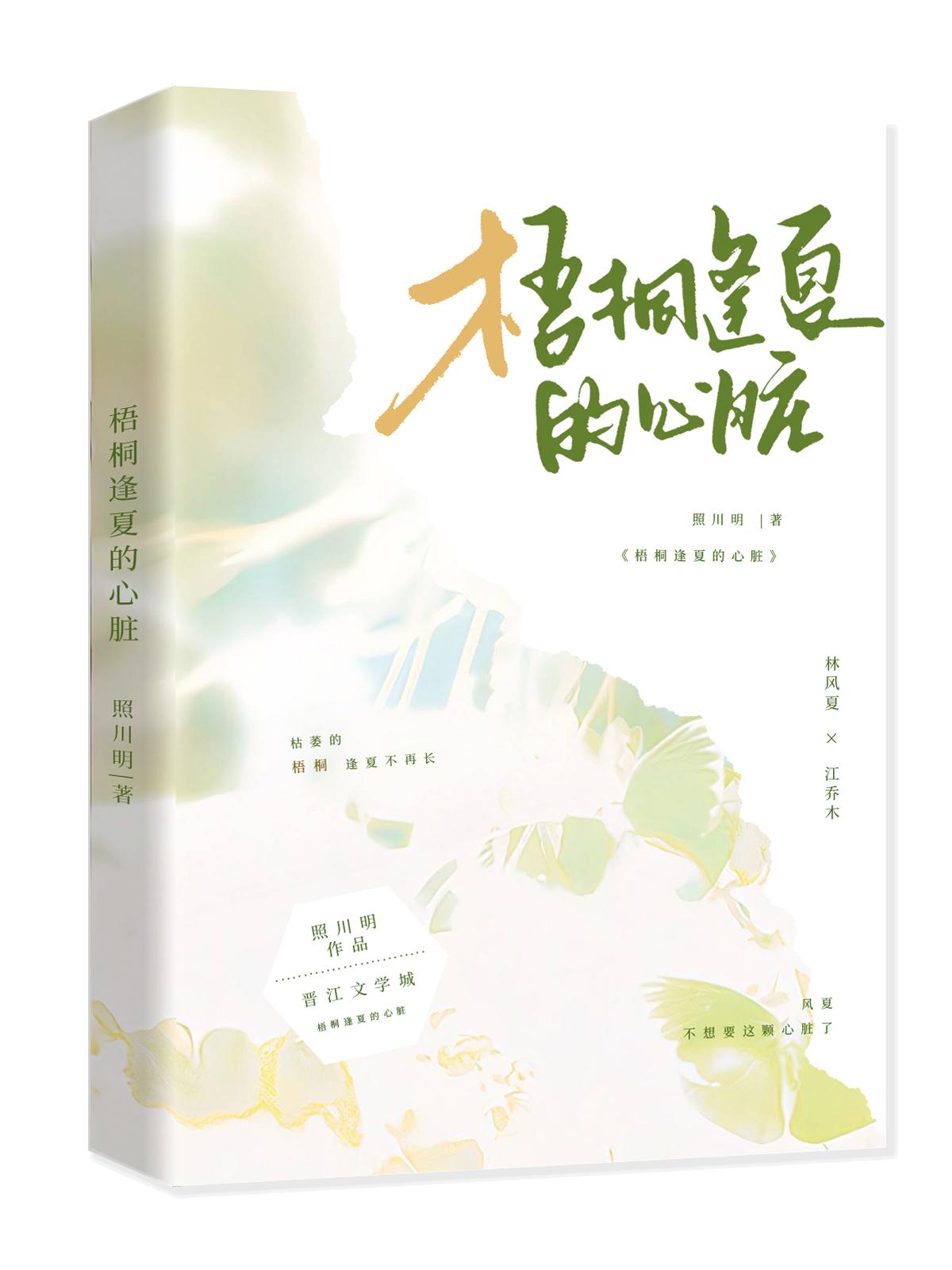 梧桐逢夏的心臟封面