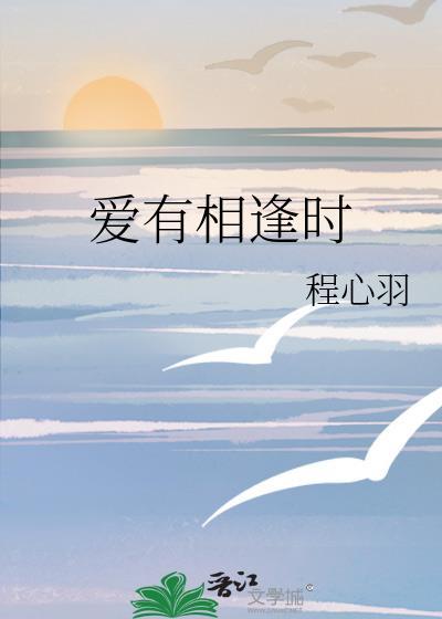 爱有相逢时封面