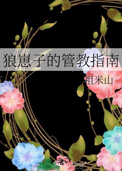 狼崽子的管教指南封面