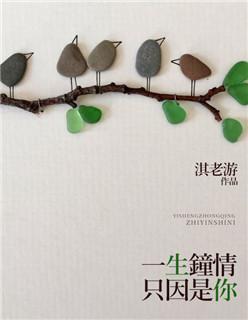 一生钟情只因是你封面