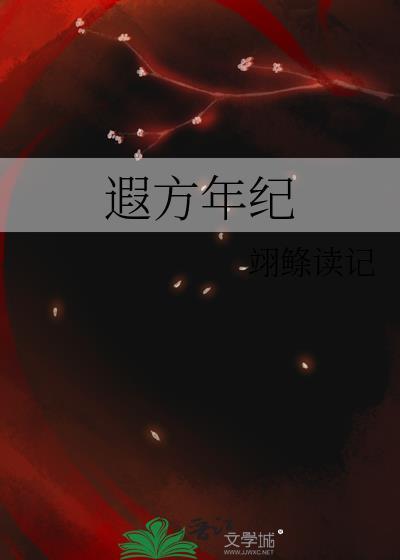 遐方年纪封面