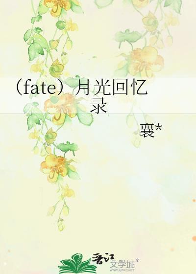 （fate）月光回忆录封面