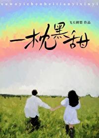 一枕黑甜封面