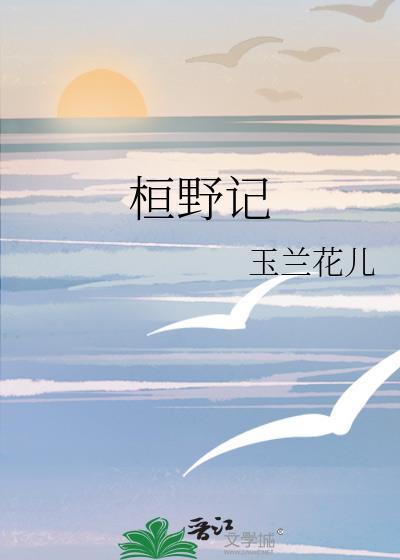 桓野记封面