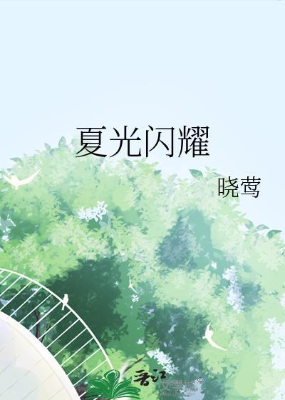 夏光闪耀封面