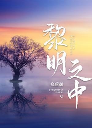 黎明之中封面