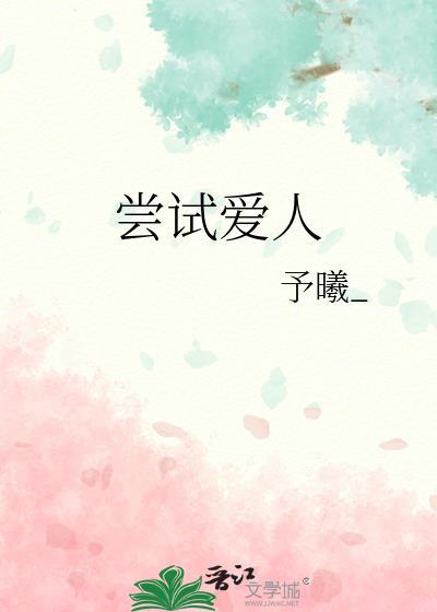 尝试爱人封面