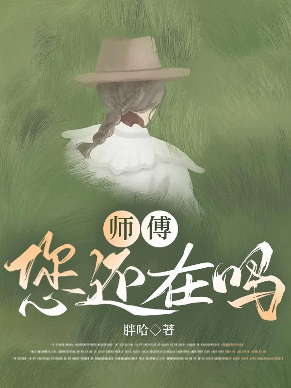 师傅，您还在吗封面