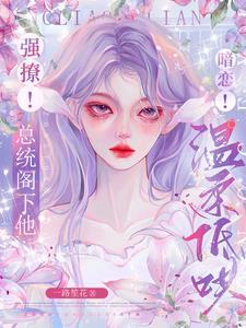强撩！暗恋！总统阁下他温柔低哄封面