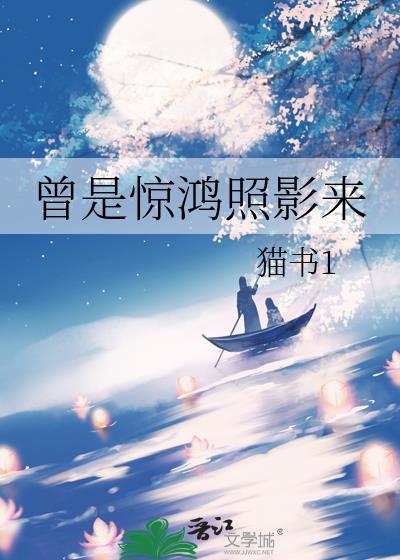 曾是惊鸿照影来封面