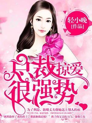 总裁掠爱很强势封面