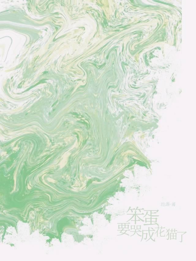 笨蛋，要哭成花猫了封面