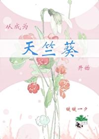 从成为天竺葵开始封面