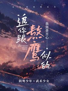 追你跟熬鹰似的封面
