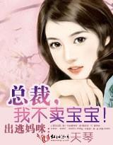 出逃妈咪：总裁，我不卖宝宝封面