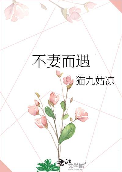 不妻而遇封面