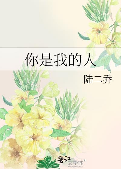你是我的人封面