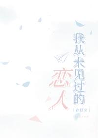 我从未见过的恋人封面